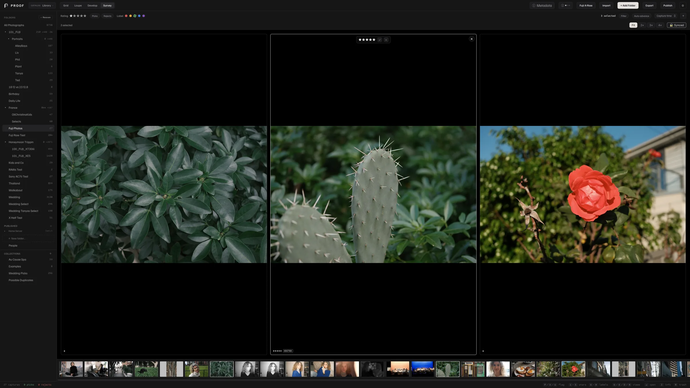 Proof Survey comparing photographs of leaves, a cactus, and a red rose side by side